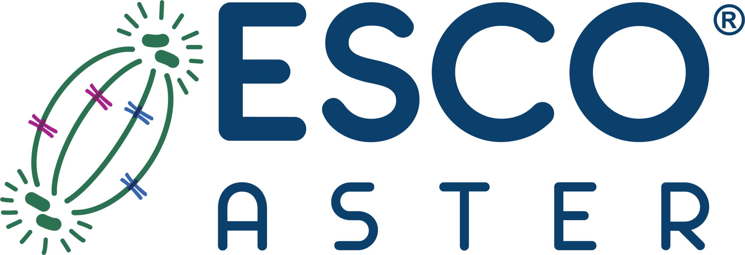 Esco Aster